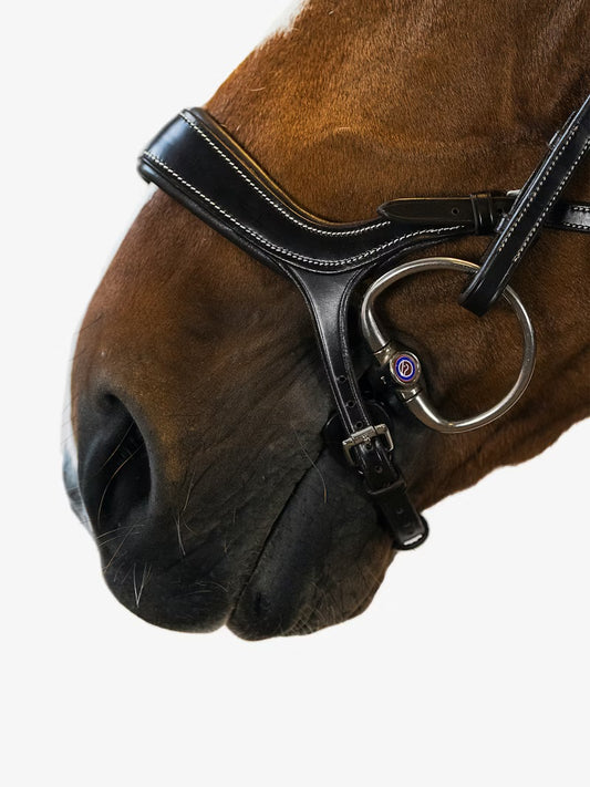 PS of Sweden Pioneer Bridle - Black Cob (2)