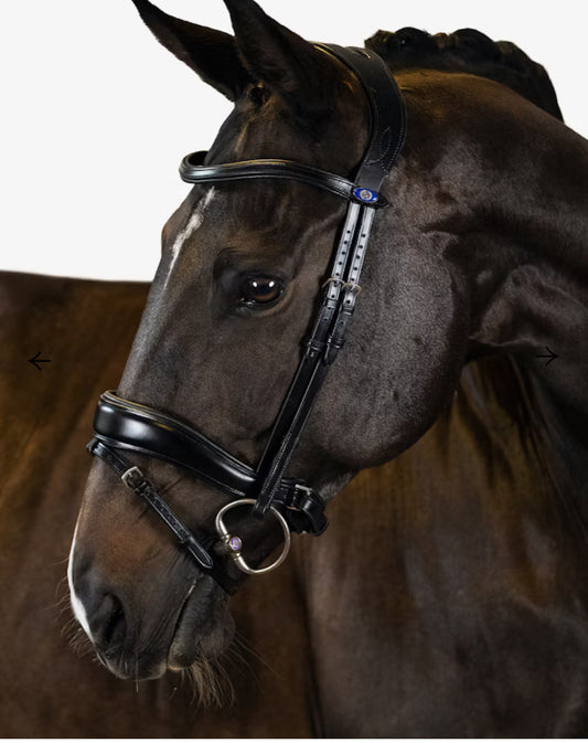 PS of Sweden Flying Change Bridle