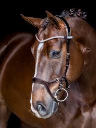 PS of Sweden Nirak Bridle
