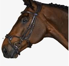 PS of Sweden High Jump Bridle