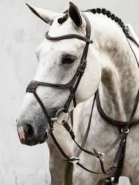 PS of Sweden Athens Bridle