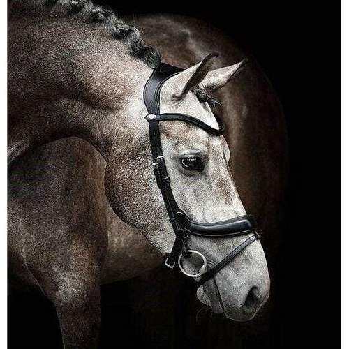 PS of Sweden Paladin Bridle