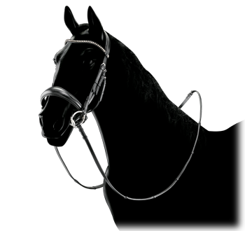 Equiline Swarovski Dressage Bridle BD602