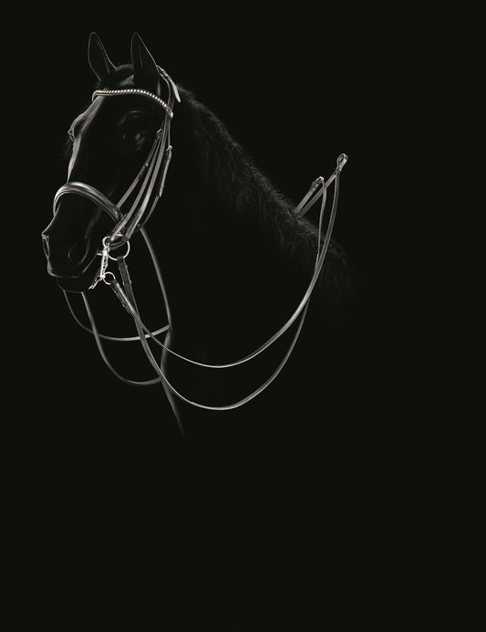 Equiline Weymouth Swarovski Bridle BD604 Black Cob