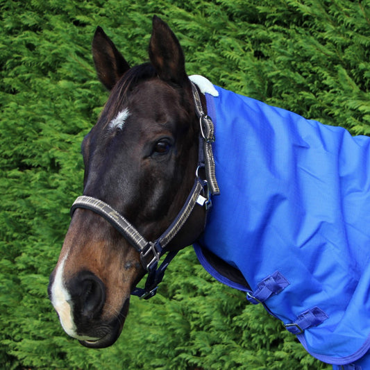 PESSOA PLAID PADDED HALTER