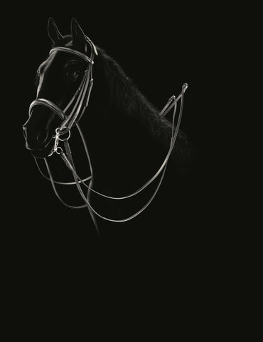 Bridles, Browbands and Reins