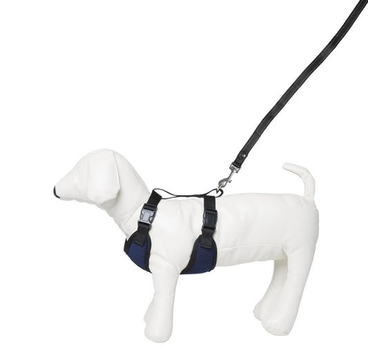 Equiline Mansel Dog Harness