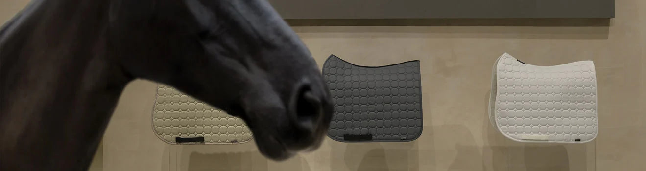 Saddle Pads