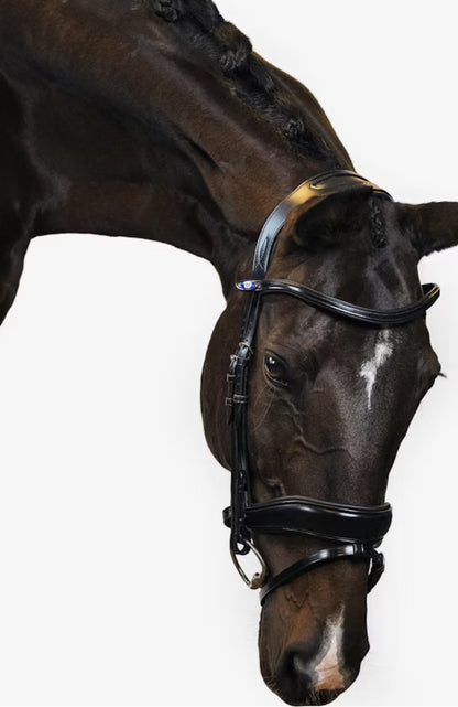 PS of Sweden Flying Change Bridle