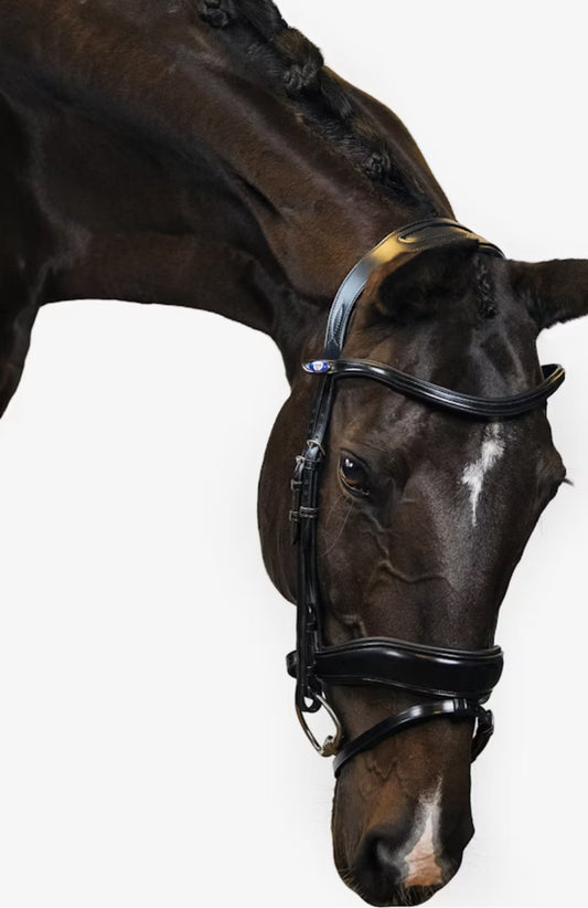 PS of Sweden Flying Change Bridle