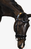 PS of Sweden Flying Change Bridle