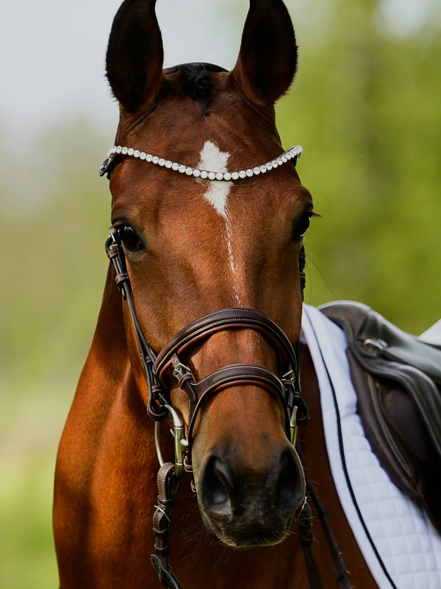 PS of Sweden Browband Slim Crystal