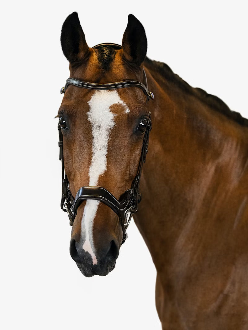 PS of Sweden Pioneer Bridle - Black Cob (2)