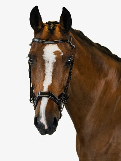 PS of Sweden Pioneer Bridle - Black Cob (2)