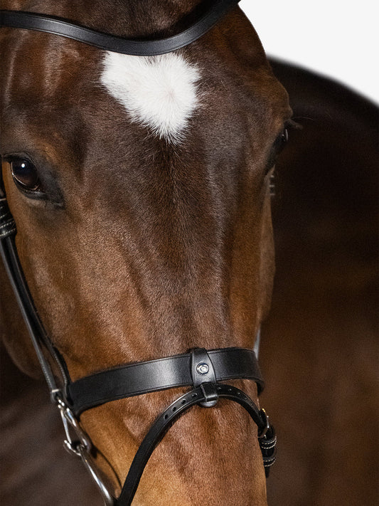 PS of Sweden London Bridle - Black