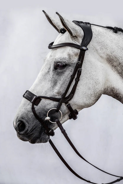 PS of Sweden Jump Off Bridle - Black