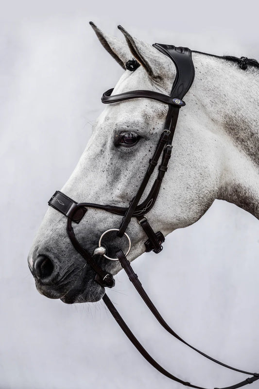 PS of Sweden Jump Off Bridle - Black