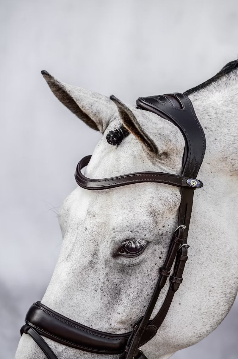 PS of Sweden Paladin Bridle