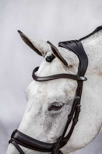 PS of Sweden Paladin Bridle