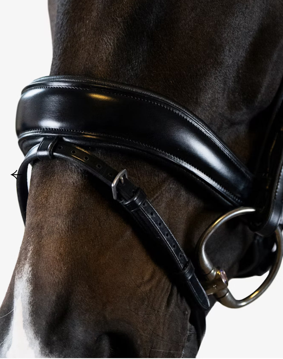 PS of Sweden Flying Change Bridle