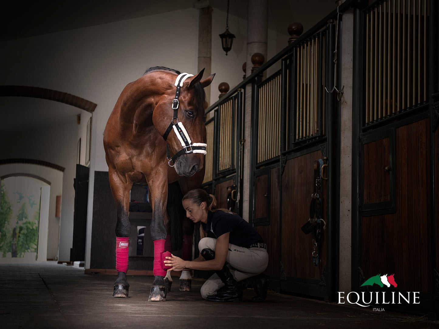 Equiline Work Bandages D00063