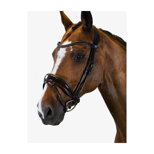 PS of Sweden Flying Change Bridle No Flash