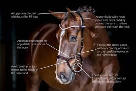 PS of Sweden Nirak Bridle