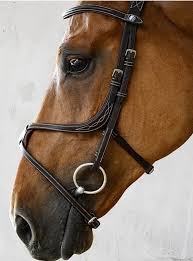 PS of Sweden Athens Bridle