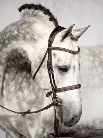 PS of Sweden Ocala Bridle Brown