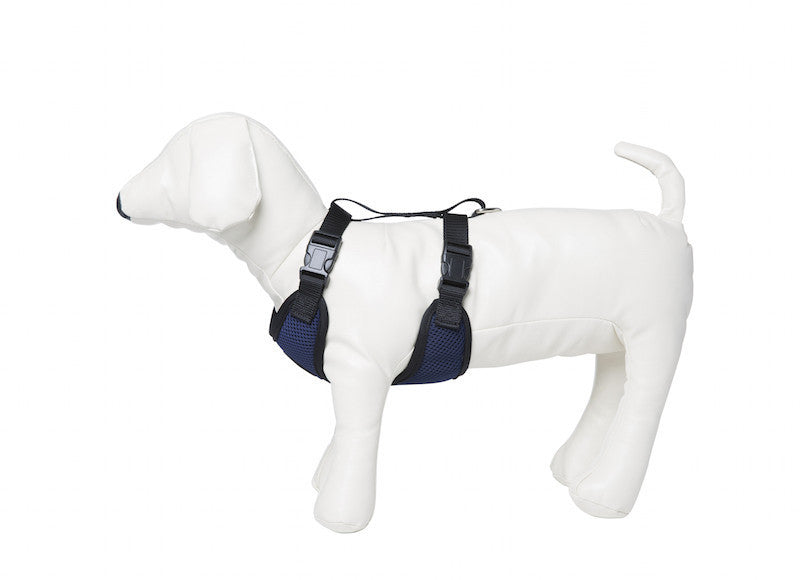 Equiline Mansel Dog Harness
