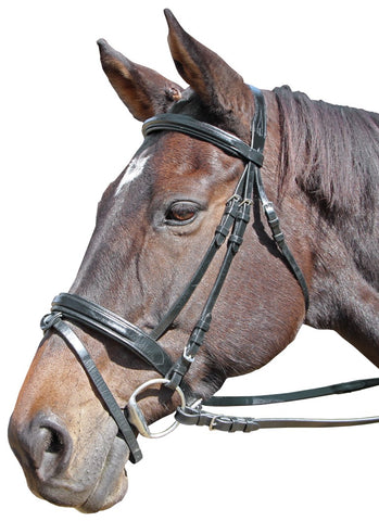 CAVALLINO RAISED & PADDED BRIDLE - Blk Warmblood