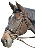 CAVALLINO RAISED & PADDED BRIDLE - Blk Warmblood