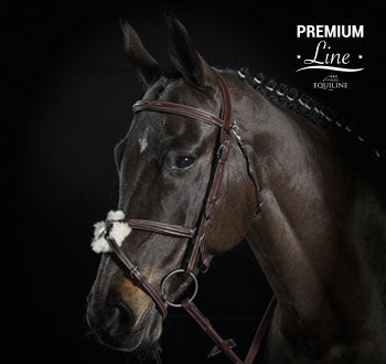 Equiline BS501 Mexican Across Bridle