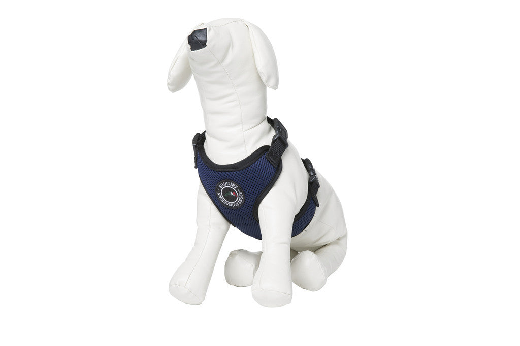 Equiline Mansel Dog Harness
