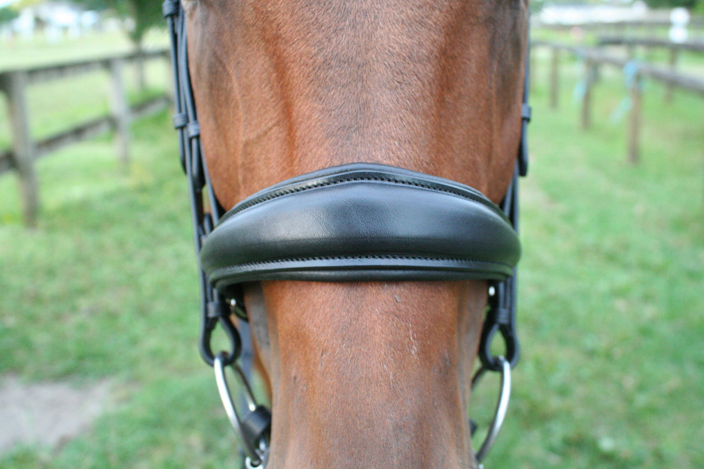 Equiline Swarovski Dressage Bridle BD602