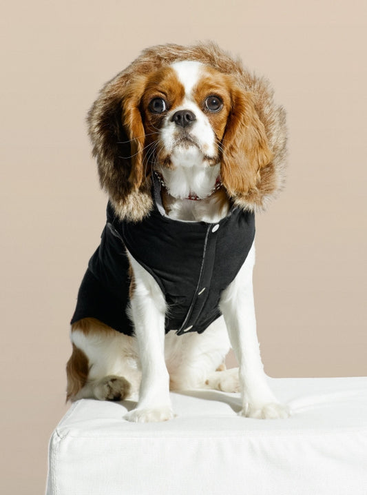 Equiline Dog Trench Bamboo -52/54
